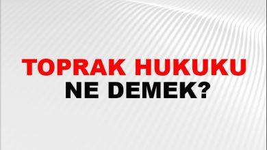 Toprak Hukuku Nedir?