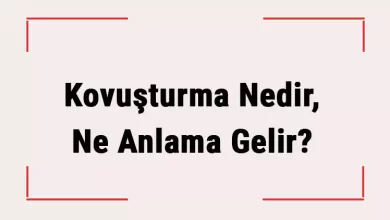 Kovuşturma Nedir?