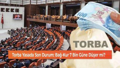 Torba Yasa 2020